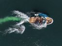 Sea Ray SDX 250 Surf 250 Surf