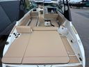 Sea Ray SDX 250 Surf