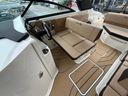 Sea Ray SDX 250 Surf