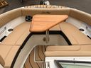 Sea Ray SDX 250 Surf