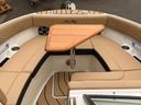 Sea Ray SDX 250 Surf