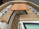 Sea Ray SDX 250 Surf