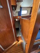 Rogger FD2 Pijlstaart