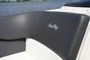 Sea Ray SPX 230 SPX 230