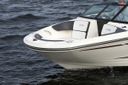 Sea Ray 19 SPX 19 SPX