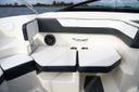 Sea Ray 19 SPX 19 SPX