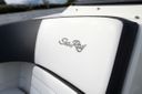Sea Ray 19 SPX 19 SPX