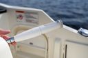 Sea Ray SDX 290 Outboard Sea Ray SDX 290 Outboard
