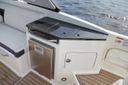 Sea Ray SDX 290 Outboard Sea Ray SDX 290 Outboard