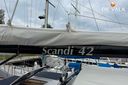Scandi 42