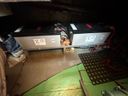 Rietaak 1135 -