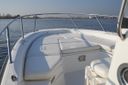 Boston Whaler 230 Dauntless Dauntless