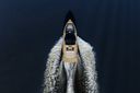 Pardo Yachts Pardo 43 New Model! Demo