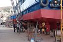 Day Passengers Ship 25 M