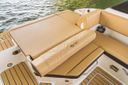 Sea Ray SDX 230 SDX 230