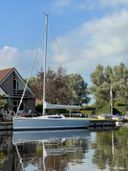 Pointer 25 Grigio Vaio