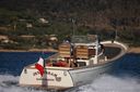 RHEA MARINE 35 Open