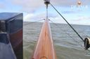 Puffin 36