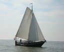 Vreedenburgh Schokker Petronella
