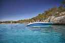 Sea Ray SPX 210