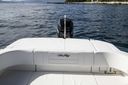 Sea Ray SPX 210 Outboard