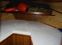 Ten Klooster Zeeschouw EB 49