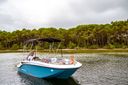 Bayliner M-15