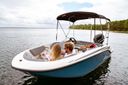 Bayliner M-15
