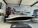 Sea Ray SPX 190 Outboard