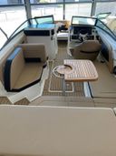 Sea Ray SPX 230