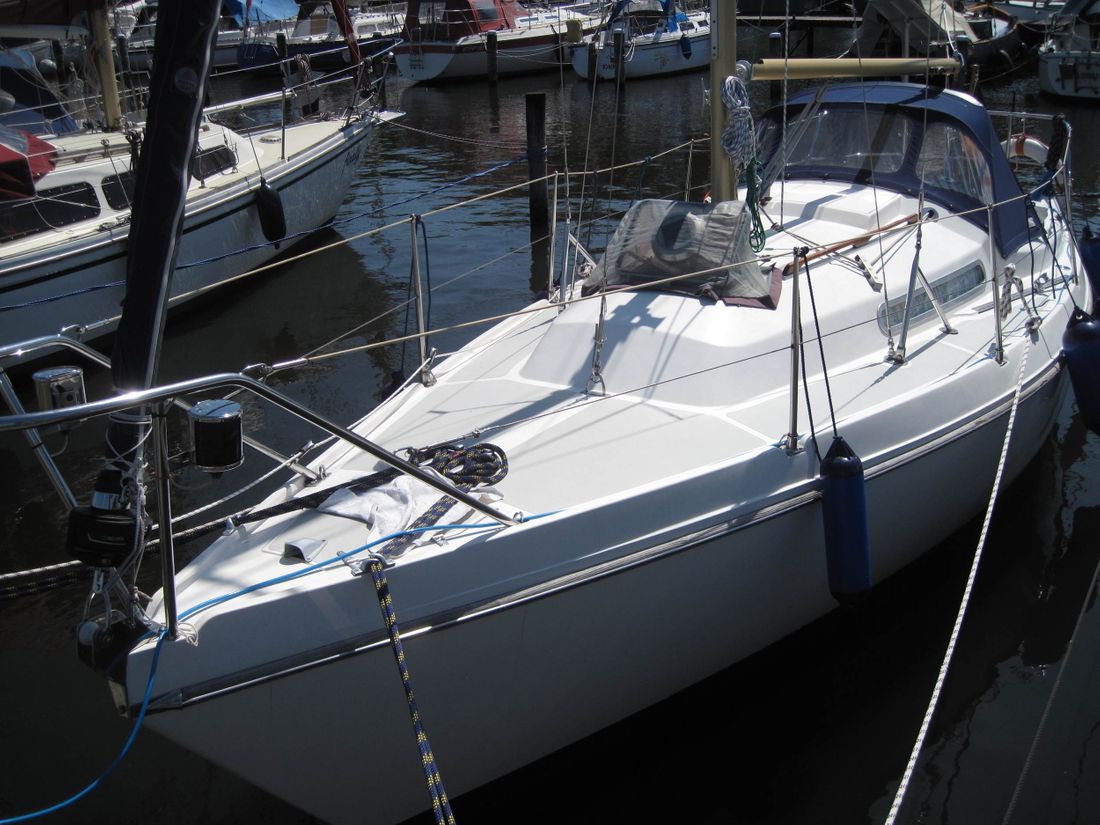 Contest 25 Fynn