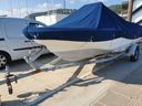 Boston Whaler 160 DA