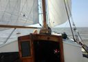 Dijkstra Zeeschouw Zeekoe