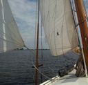 Dijkstra Zeeschouw Zeekoe