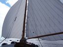 Dijkstra Zeeschouw Zeekoe