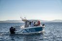 Quicksilver CAPTUR 805 PILOTHOUSE