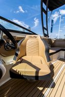 Sea Ray SPX 230