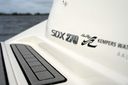 Sea Ray SDX 270