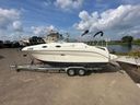 Sea Ray 255 Sundancer DAE Smetling