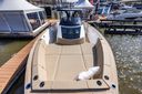 Tesoro T38 Cruiser