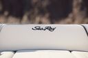 Sea Ray SPX 210 New Model 2024