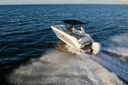 Sea Ray SDX 250 Outboard