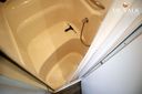 Sea Ray 455 Sundancer