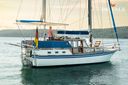 Sea Finn 41