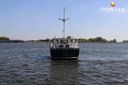 Pilot Whale 45