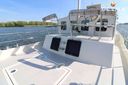 Pilot Whale 45