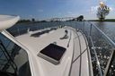 Pilot Whale 45