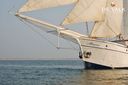 Passenger Vessel Minerva