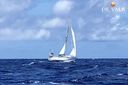 Brise de Mer 44