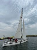 Wasa 55 Never Mind
